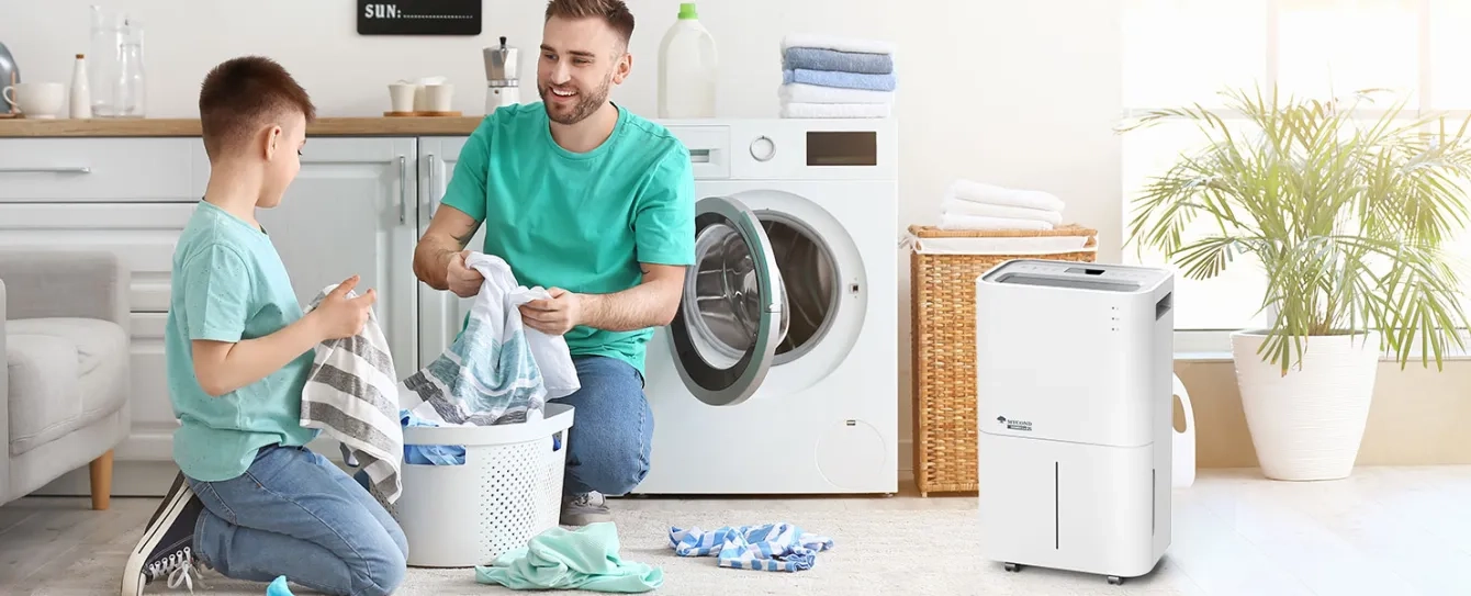 What is an air dehumidifier, and what do you need it for?